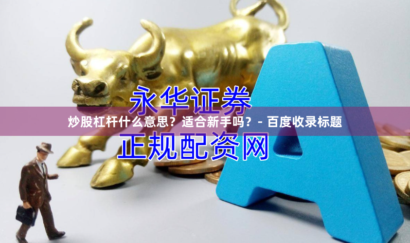 炒股杠杆什么意思？适合新手吗？- 百度收录标题