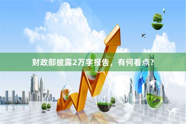 财政部披露2万字报告，有何看点？